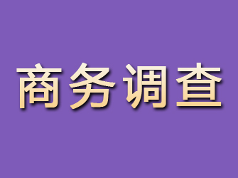 东坡商务调查